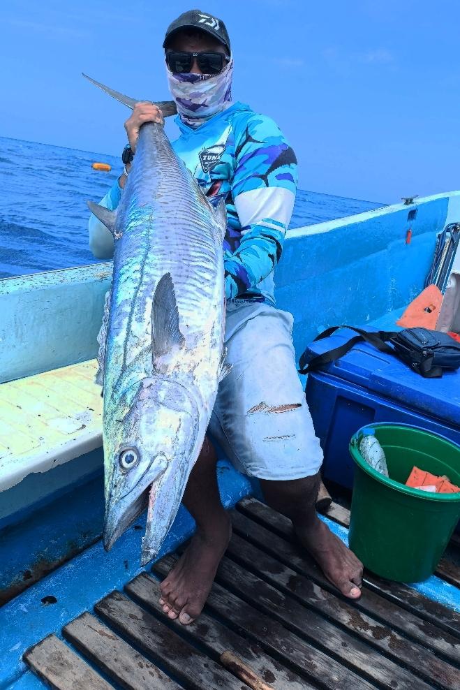 Gros plan sur un Thazard bâtard massive pêchée à Diego-Suarez, Madagascar